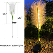 Solar Powered Garden Lights Pampas Design Warm White LED Outdoor Bulk Set
