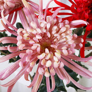 28.3 Inch Real Touch Spider Mum Artificial Flower for Wedding and Home Decor