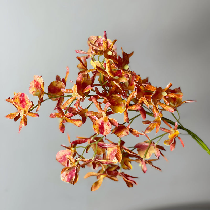Spider Orchid Stems 10 Pcs 20 Inch Real Touch Artificial Silk Flower Branches for Spring Floral Arrangements