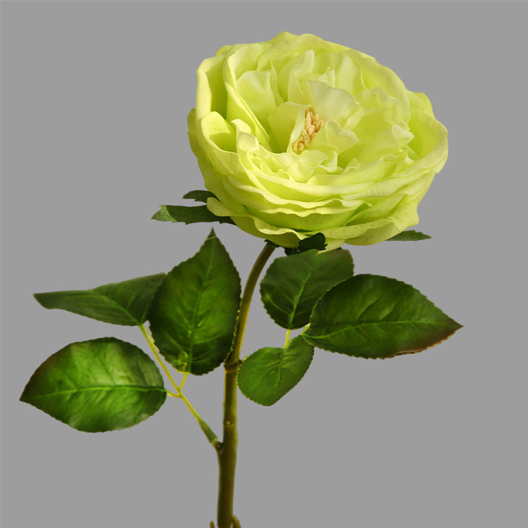 17.7 Inch Artificial Rose Stem 10 Pcs Real Touch Silk Flowers Bulk Wholesale