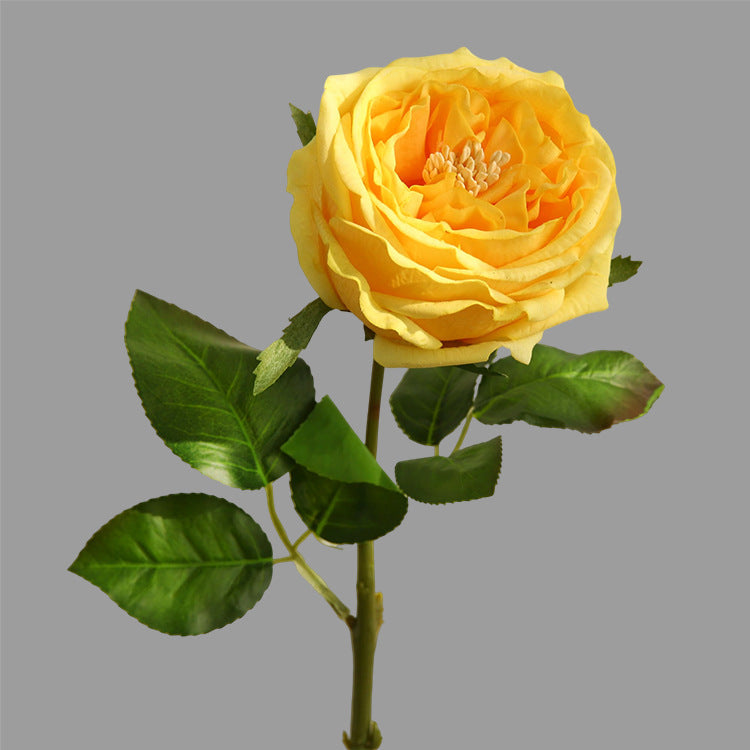 17.7 Inch Artificial Rose Stem 10 Pcs Real Touch Silk Flowers Bulk Wholesale