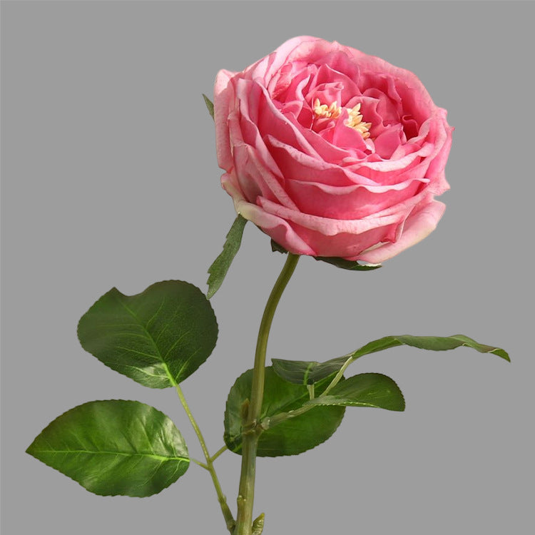 17.7 Inch Artificial Rose Stem 10 Pcs Real Touch Silk Flowers Bulk Wholesale