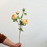 26 Inch Peony Spray Stems with Buds 10 Pcs Silk Artificial Flowers for Arrangement
