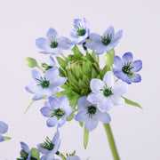 25.5 Inch Star of Bethlehem Silk Artificial Flowers Stem – Bulk Wholesale, 1 Stem
