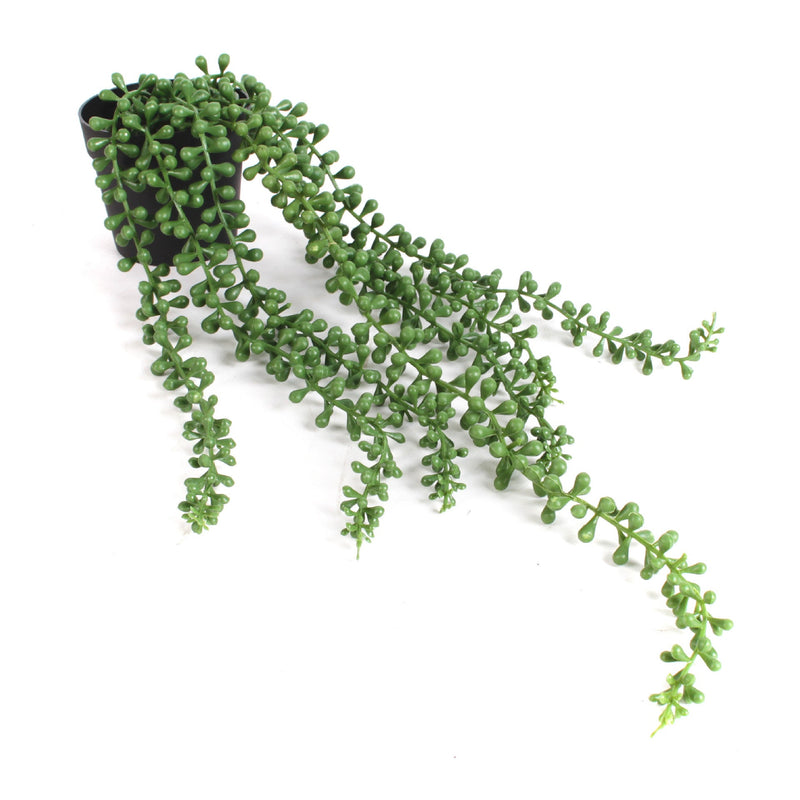 18 Inch String of Pearls Artificial Trailing Succulent Plant in Pot, Bulk Quantity