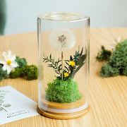 Preserved Artificial Flowers Ornament in Glass Dome Holiday Decoration Gift