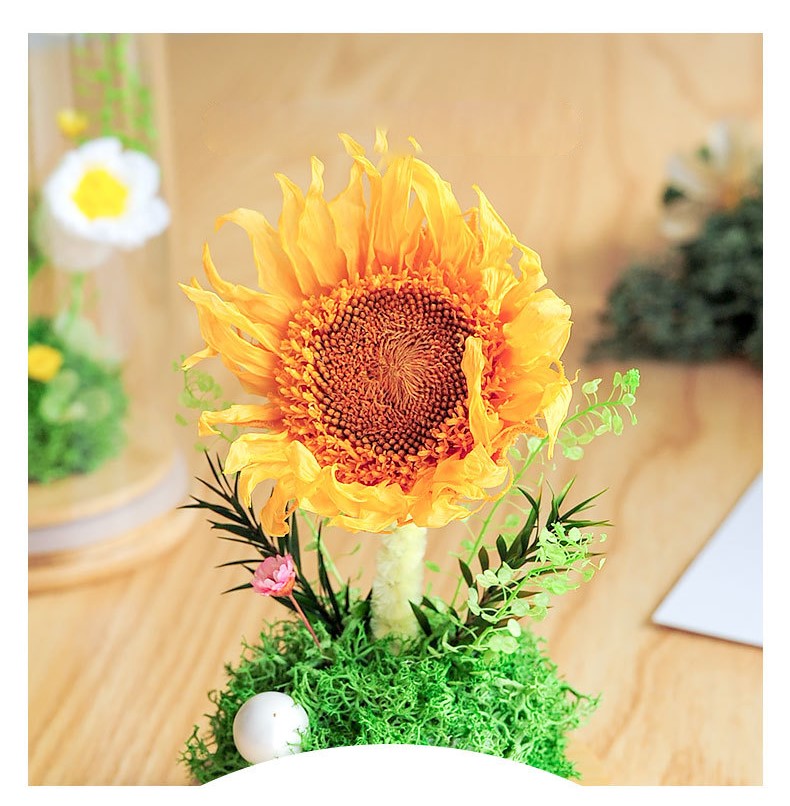 Preserved Artificial Flowers Ornament in Glass Dome Holiday Decoration Gift