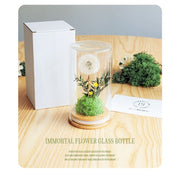 Preserved Artificial Flowers Ornament in Glass Dome Holiday Decoration Gift