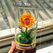 Preserved Artificial Flowers Ornament in Glass Dome Holiday Decoration Gift