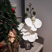 Phalaenopsis Orchid Table Centerpiece Bouquet 6 Stems Real Touch Artificial Flowers with Heart-Shaped Base