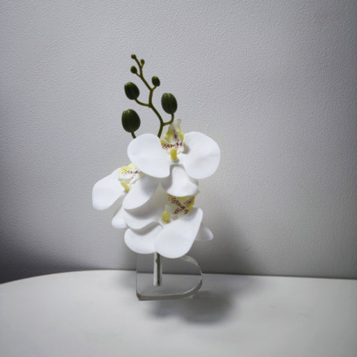 Phalaenopsis Orchid Table Centerpiece Bouquet 6 Stems Real Touch Artificial Flowers with Heart-Shaped Base