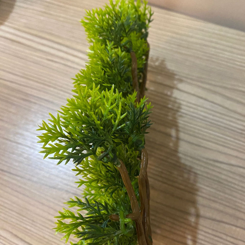 Thuja Sutchuenensis Pine Picks Artificial Tree Branches 12 Inch 10 Pcs Christmas Decor