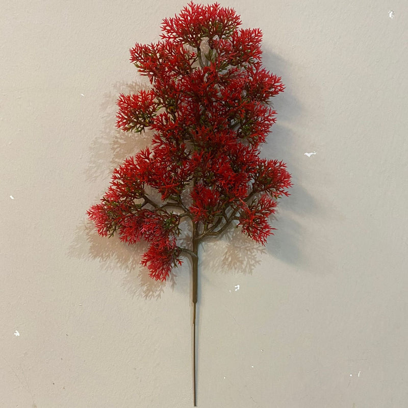 Thuja Sutchuenensis Pine Picks Artificial Tree Branches 12 Inch 10 Pcs Christmas Decor