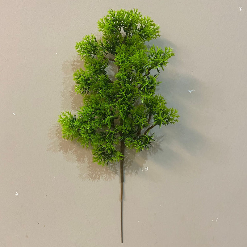 Thuja Sutchuenensis Pine Picks Artificial Tree Branches 12 Inch 10 Pcs Christmas Decor