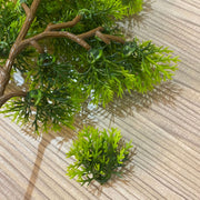 Thuja Sutchuenensis Pine Picks Artificial Tree Branches 12 Inch 10 Pcs Christmas Decor