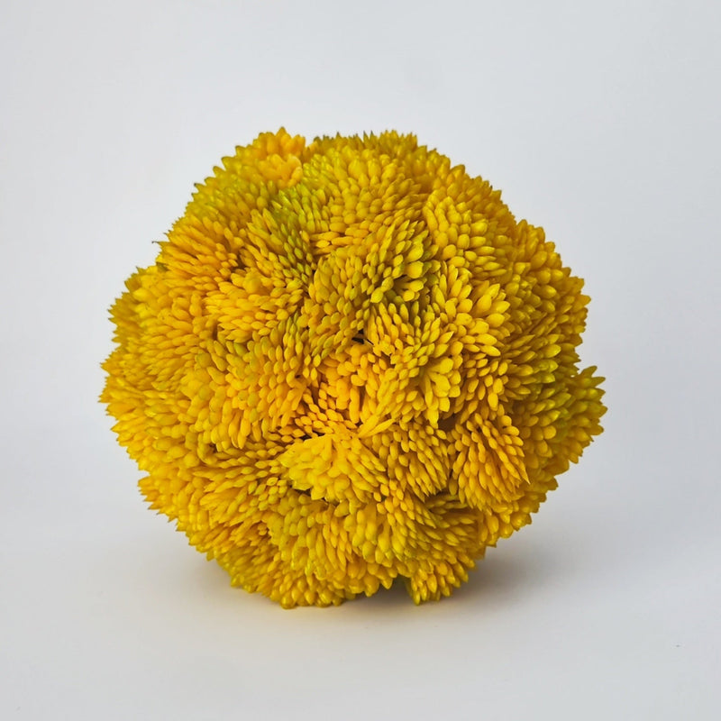 4 Inch Artificial Succulent Topiary Balls Bulk Decorative Plant Balls