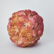 4 Inch Artificial Succulent Topiary Balls Bulk Decorative Plant Balls