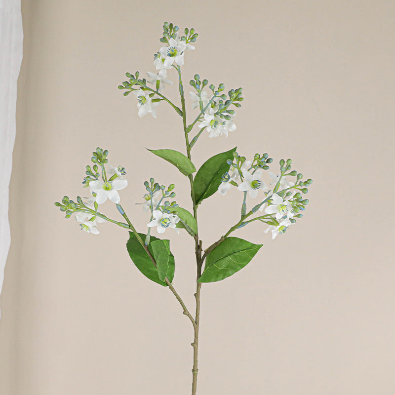 27.5 Inch Tweedia Spray Branch Artificial Silk Flowers 6 Stems Long Stems Bulk