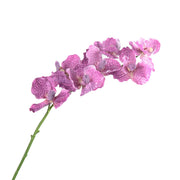 30 Inch Real Touch Vanda Miss Joaquim Orchid Stems, 10 Pcs Artificial Silk Flowers