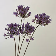 24 Inch Artificial Silk Agapanthus Stems Vintage Style Bulk 10 Pcs