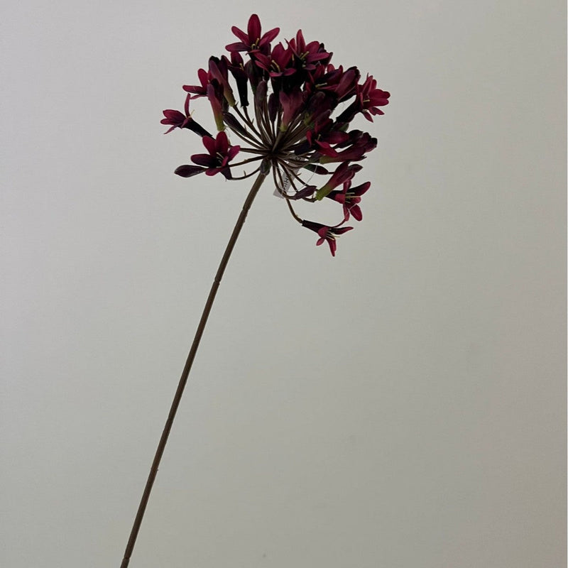 24 Inch Artificial Silk Agapanthus Stems Vintage Style Bulk 10 Pcs