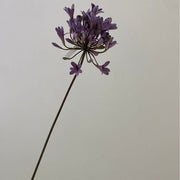 24 Inch Artificial Silk Agapanthus Stems Vintage Style Bulk 10 Pcs