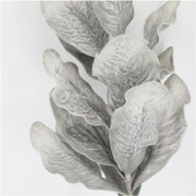 39 Inch Artificial Lambs Ear Plant Spray Stem Silver Ragwort Foliage Bulk Wholesale