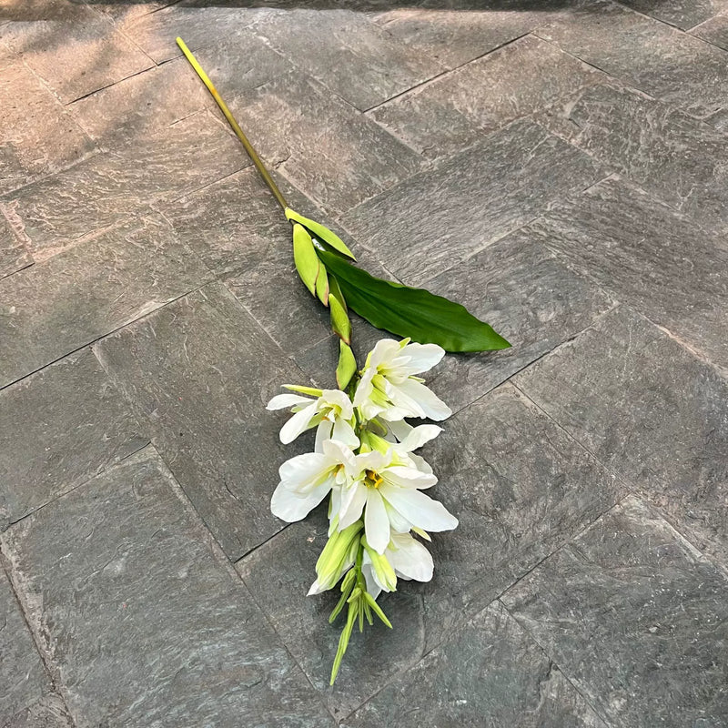 Wedding & Event Artificial Canna Lily Stems, 41" Tall, Multicolor Options