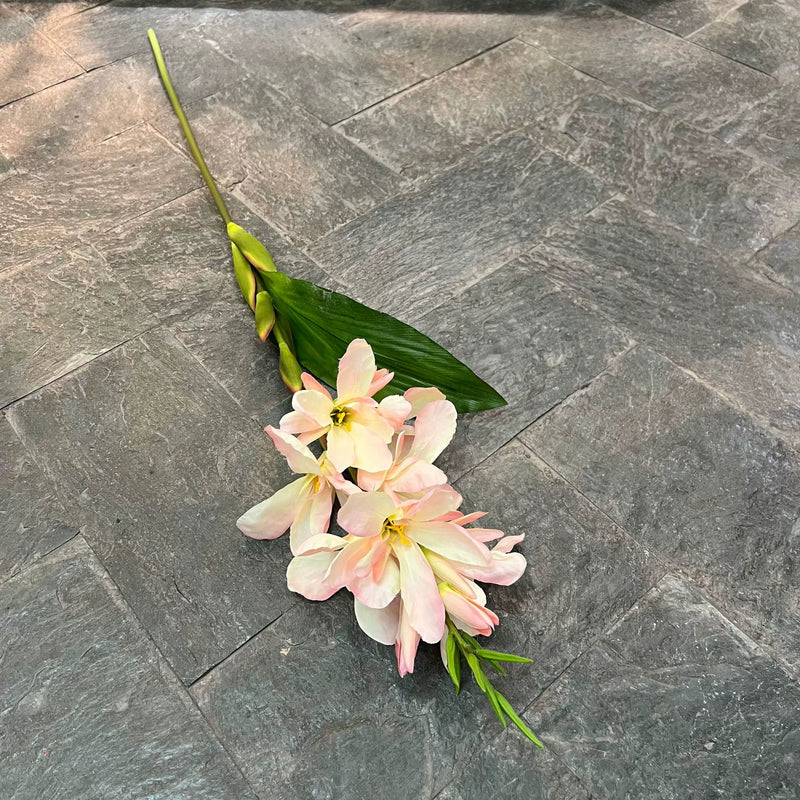Wedding & Event Artificial Canna Lily Stems, 41" Tall, Multicolor Options