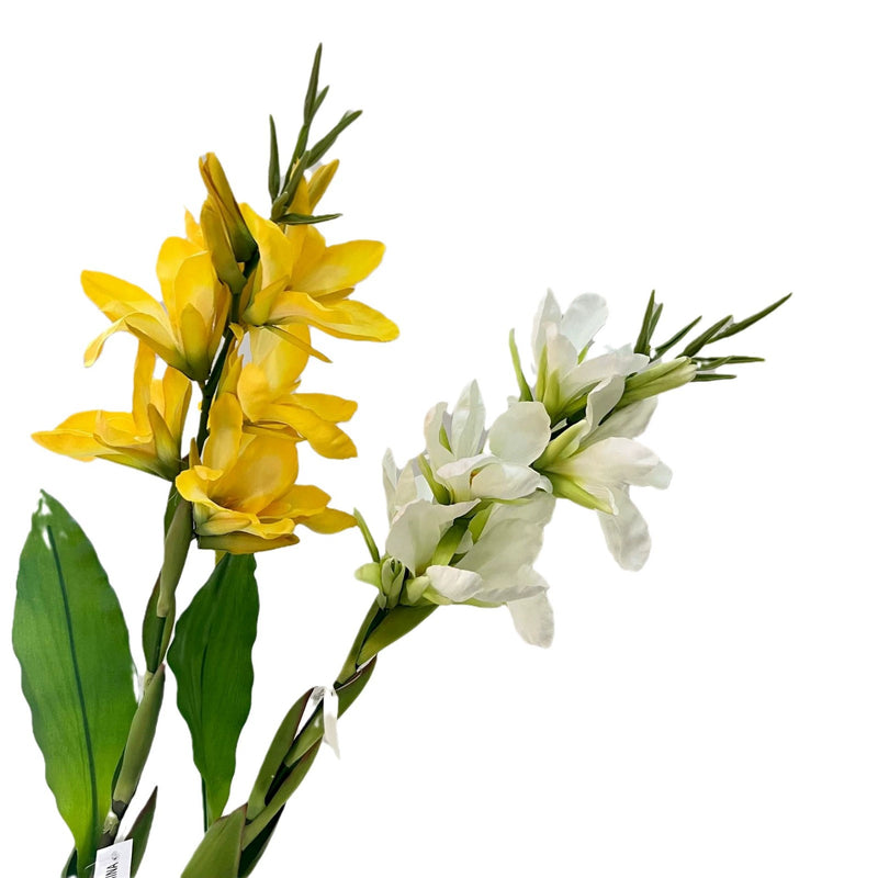 Wedding & Event Artificial Canna Lily Stems, 41" Tall, Multicolor Options