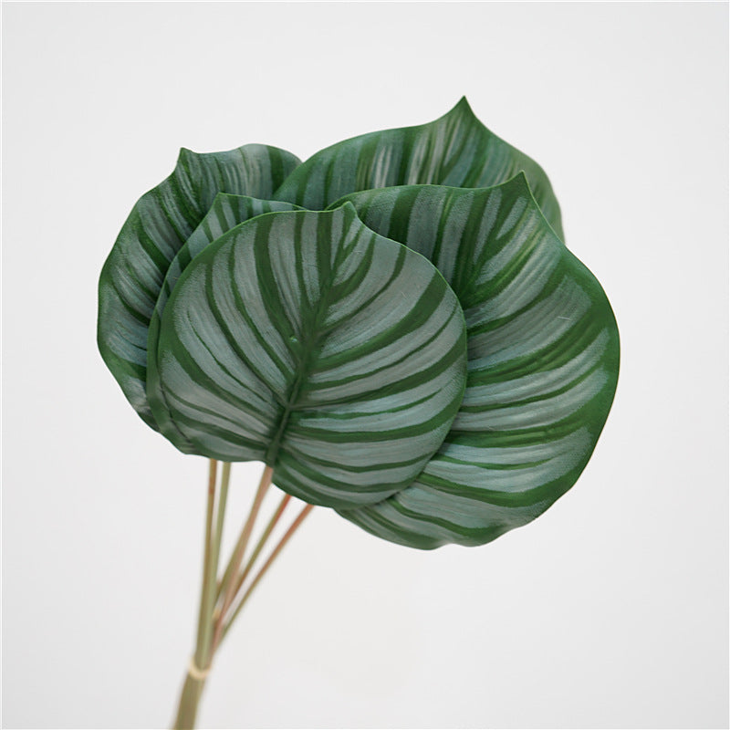 Artificial Calathea Orbifolia Turtle Leaf 6 Stems 22 Inch Tropical Silk Plant