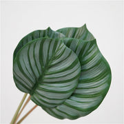 Artificial Calathea Orbifolia Turtle Leaf 6 Stems 22 Inch Tropical Silk Plant