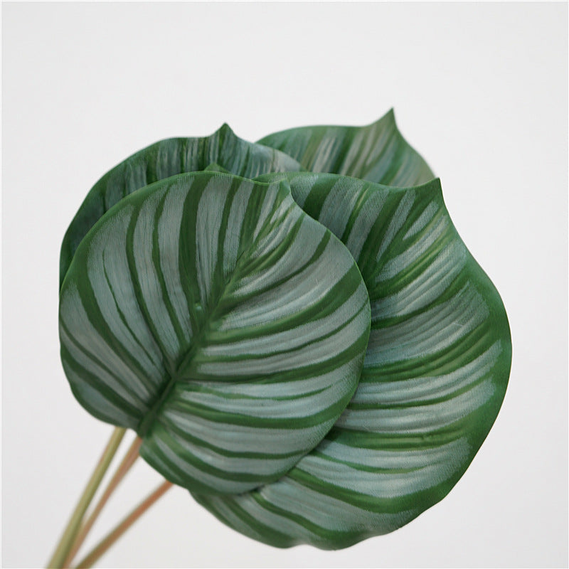 Artificial Calathea Orbifolia Turtle Leaf 6 Stems 22 Inch Tropical Silk Plant