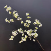 Artificial Devilwood Twig Osmanthus Flower 45 Inch Fragrant Olive Plant 1 Pc