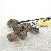 Artificial Dried Lotus Flower Pod Stem 23 Inch 10 Pcs Bulk Seedpod Twig