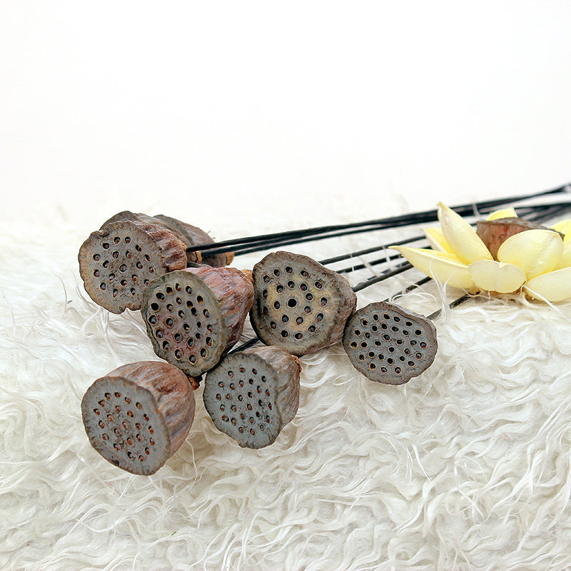Artificial Dried Lotus Flower Pod Stem 23 Inch 10 Pcs Bulk Seedpod Twig