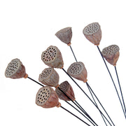 Artificial Dried Lotus Flower Pod Stem 23 Inch 10 Pcs Bulk Seedpod Twig