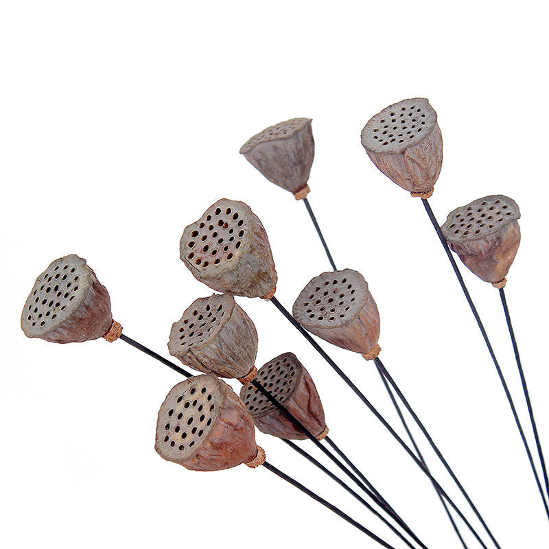 Artificial Dried Lotus Flower Pod Stem 23 Inch 10 Pcs Bulk Seedpod Twig
