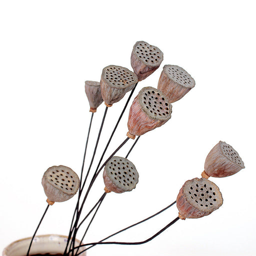 Artificial Dried Lotus Flower Pod Stem 23 Inch 10 Pcs Bulk Seedpod Twig
