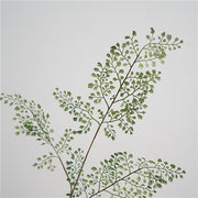 Artificial Fern Stem 32 Inch Greenery Plant Twig Forest Maidenhair Fern 1 Pc