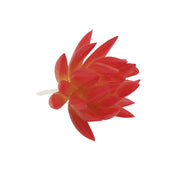 Artificial Mini Red Succulents 12 Pcs Bulk Greenery Plants for Home Decor