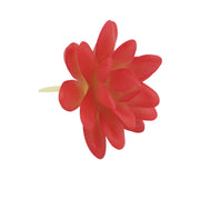 Artificial Mini Red Succulents 12 Pcs Bulk Greenery Plants for Home Decor