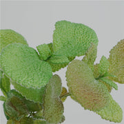 Artificial Mint Leaf Stem Greenery Plant 17 Inch Greenery 1 Pc Silk