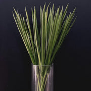 Artificial Orris Yucca Leaf Foliage Stems 35 Inch Green Lemongrass Greenery Bulk Wholesale