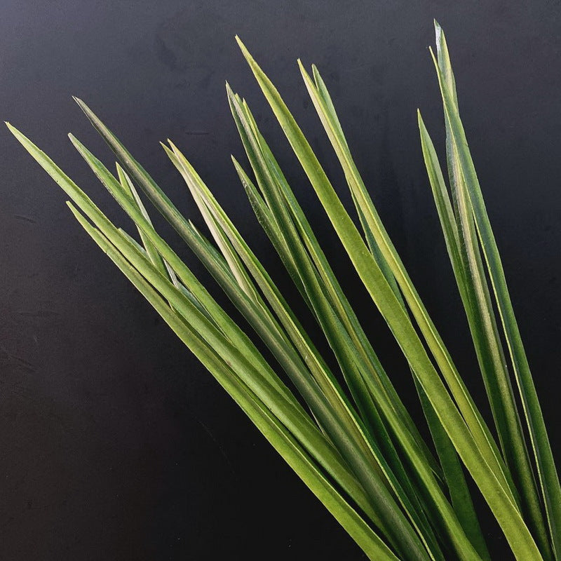 Artificial Orris Yucca Leaf Foliage Stems 35 Inch Green Lemongrass Greenery Bulk Wholesale