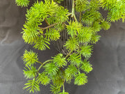 Artificial Pine Twig Greenery 15 Inch, 1 Pc, Green Artificial Plant Decor