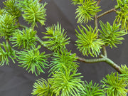 Artificial Pine Twig Greenery 15 Inch, 1 Pc, Green Artificial Plant Decor