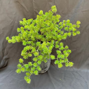 Artificial Pine Twig Greenery 15 Inch, 1 Pc, Green Artificial Plant Decor