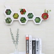 Artificial Succulent Wall Frame 1 Pc Hanging Plant Photo Frame Bulk Artificial Plant Decor