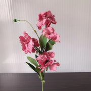 25 Inch Artificial Silk Scabiosa Stems, 4 Colors, 10 Pcs Bulk Set